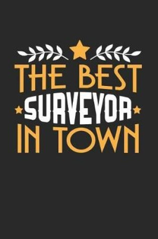 Cover of The Best Surveyor in Town