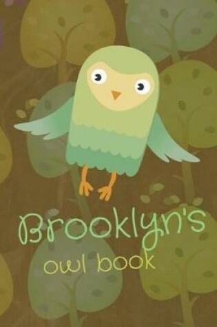 Cover of Brooklyn's Owl Book