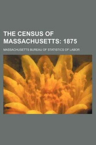 Cover of The Census of Massachusetts; 1875