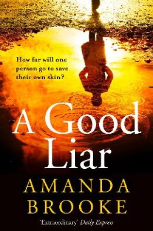 Cover of A Good Liar