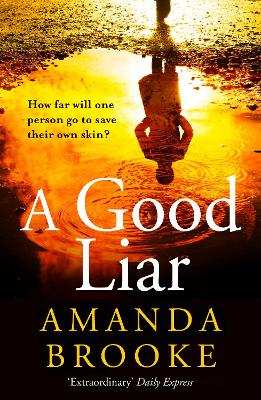 Book cover for A Good Liar