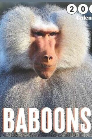 Cover of Baboons 2021 Calendar