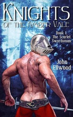 Cover of Knights of the Amber Vale, Volume 1