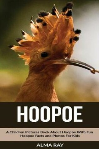 Cover of Hoopoe