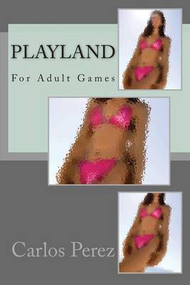 Book cover for Playland