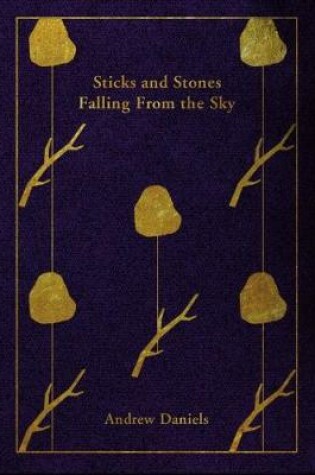 Cover of Sticks and Stones Falling From the Sky