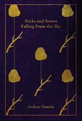 Book cover for Sticks and Stones Falling From the Sky