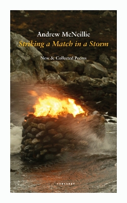 Book cover for Striking a Match in a Storm