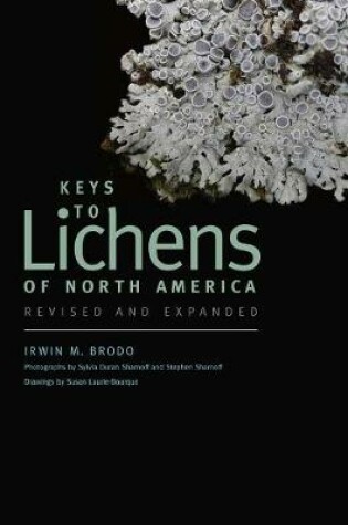 Cover of Keys to Lichens of North America