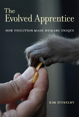 Book cover for The Evolved Apprentice