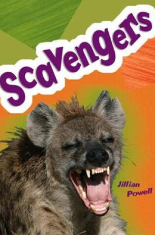 Cover of Pocket Facts Year 5: Scavengers