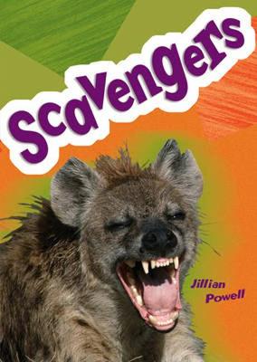 Book cover for Pocket Facts Year 5: Scavengers