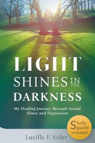Cover of Light Shines in the Darkness, Hardcover