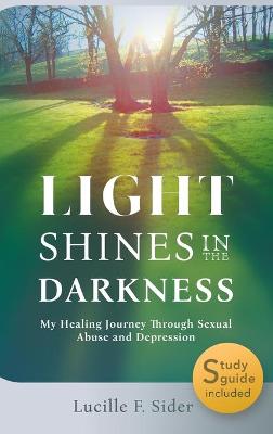 Cover of Light Shines in the Darkness, Hardcover