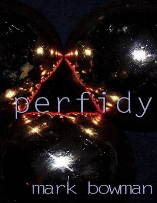 Book cover for Perfidy