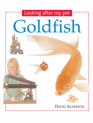 Book cover for Goldfish