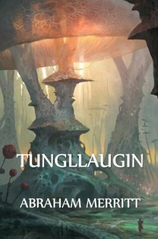 Cover of Tungllaugin
