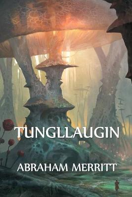 Book cover for Tungllaugin