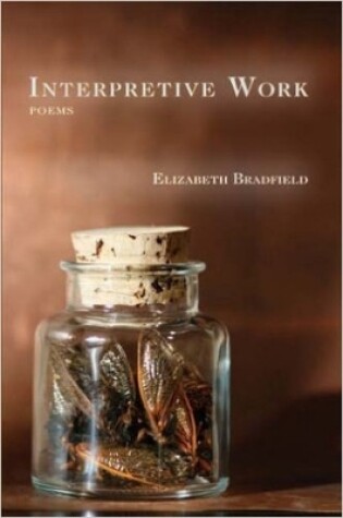 Cover of INTERPRETIVE WORK