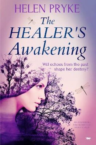 Cover of The Healer's Awakening