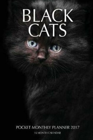 Cover of Black Cats Pocket Monthly Planner 2017