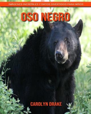 Book cover for Oso negro