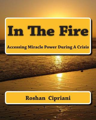 Book cover for In The Fire