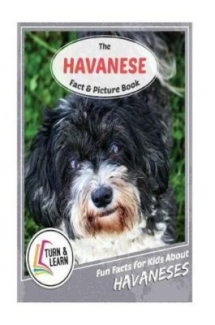 Cover of The Havanese Fact and Picture Book