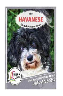 Book cover for The Havanese Fact and Picture Book