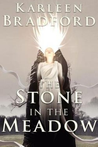 Cover of The Stone in The Meadow