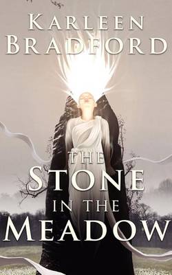 Book cover for The Stone in The Meadow