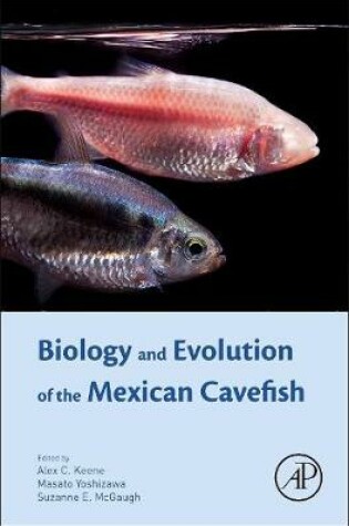 Cover of Biology and Evolution of the Mexican Cavefish