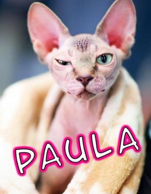 Book cover for Paula