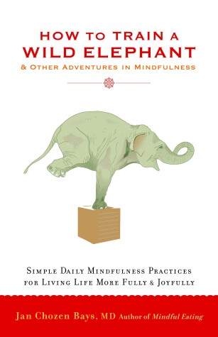 Cover of How to Train a Wild Elephant