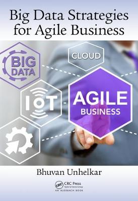 Book cover for Big Data Strategies for Agile Business