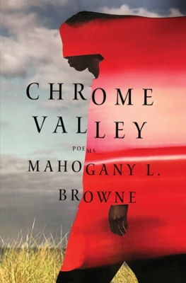 Book cover for Chrome Valley