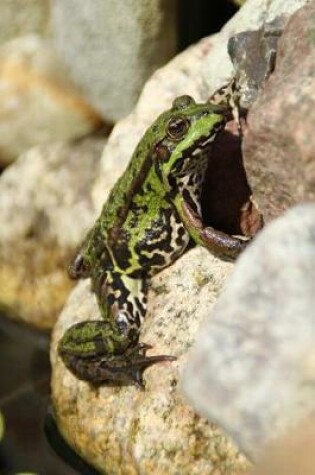 Cover of Rock Climbing Frog Journal