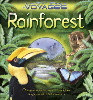Book cover for Rainforest