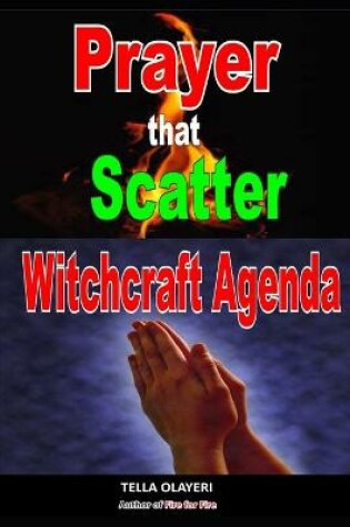 Cover of Prayer That Scatter Witchcraft Agenda