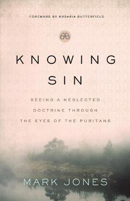 Book cover for Knowing Sin