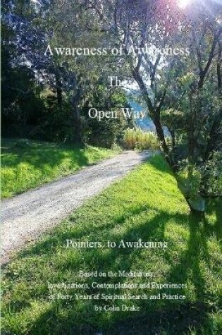 Cover of Awareness of Awareness - The Open Way