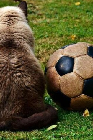 Cover of A Cat Sitting Next to a Soccer Ball Journal