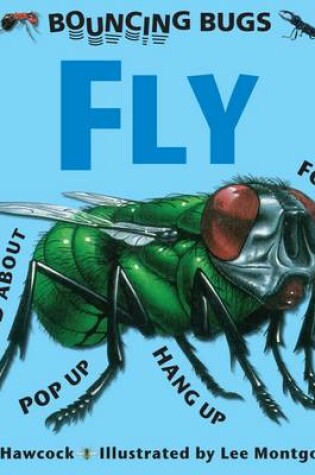 Cover of Bouncing Bugs - Fly