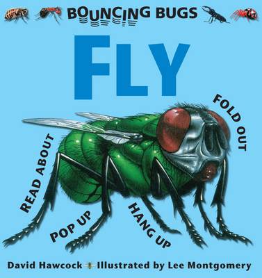 Book cover for Bouncing Bugs - Fly