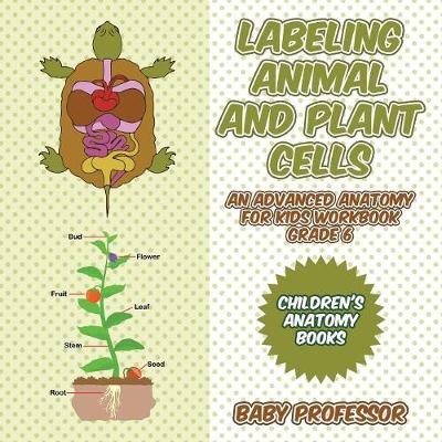 Book cover for Labeling Animal and Plant Cells - An Advanced Anatomy for Kids Workbook Grade 6 Children's Anatomy Books