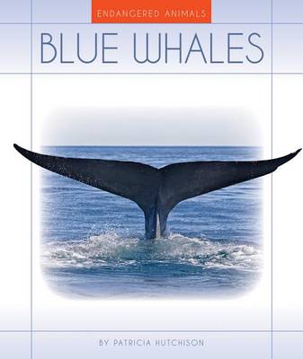 Book cover for Blue Whales