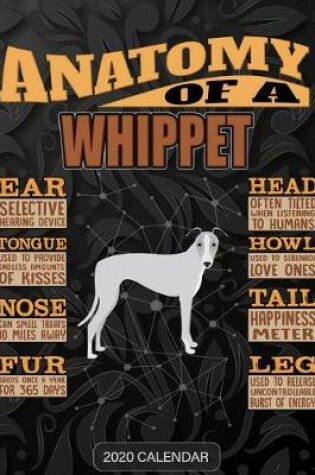 Cover of Anatomy Of A Whippet