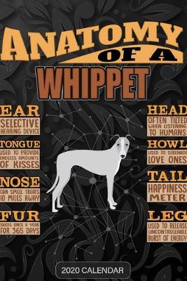 Book cover for Anatomy Of A Whippet