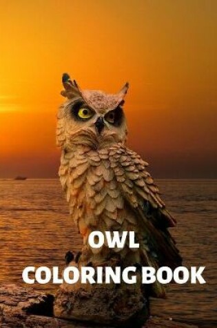 Cover of Owl Coloring Book