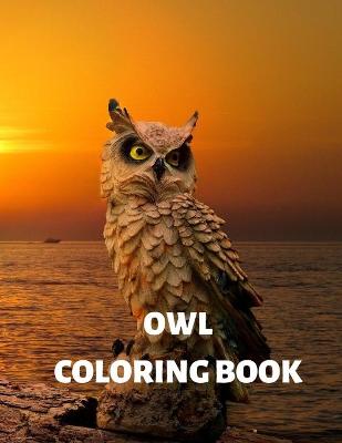 Book cover for Owl Coloring Book